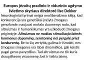 Krikščioniškasis Vaižganto apysakos „Dėdės ir dėdienės“ diskursas 18 puslapis