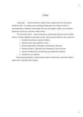 Autokratijos valdymo forma 3 puslapis
