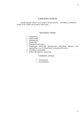 Autokratijos valdymo forma 4 puslapis