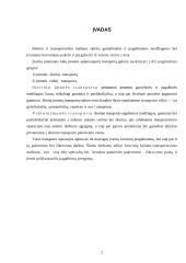 Automobilinių kranų kėlimo hidraulinės sistemos 2 puslapis