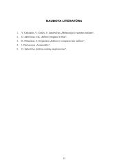 Automobilinių kranų kėlimo hidraulinės sistemos 11 puslapis