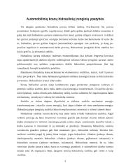 Automobilinių kranų kėlimo hidraulinės sistemos 3 puslapis