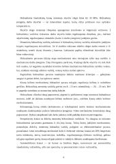 Automobilinių kranų kėlimo hidraulinės sistemos 4 puslapis