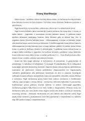 Automobilinių kranų kėlimo hidraulinės sistemos 6 puslapis