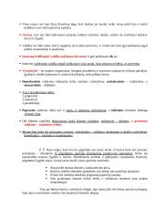 Ž. Ž. Ruso analizė 2 puslapis