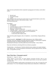 Ž. Ž. Ruso analizė 7 puslapis