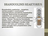 Branduolinis reaktorius, jo tipai bei veikimas 2 puslapis