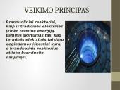 Branduolinis reaktorius, jo tipai bei veikimas 3 puslapis