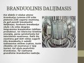 Branduolinis reaktorius, jo tipai bei veikimas 4 puslapis