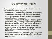 Branduolinis reaktorius, jo tipai bei veikimas 6 puslapis