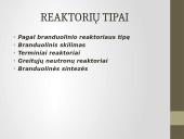 Branduolinis reaktorius, jo tipai bei veikimas 7 puslapis