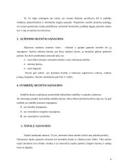 Automobilių eksploatacinių medžiagų nusidėvėjimas 6 puslapis