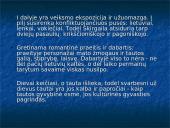 ﻿Valdovo ir žmogaus tragedija Vinco Krėvės dramoje „Skirgaila” 14 puslapis