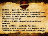 Salomėja Nėris ir jos kūrybinis palikimas 6 puslapis