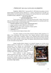 E-dviratis: Nuo idėjos iki projekto įgyvendinimo 11 puslapis