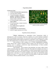 E-dviratis: Nuo idėjos iki projekto įgyvendinimo 14 puslapis