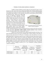 E-dviratis: Nuo idėjos iki projekto įgyvendinimo 18 puslapis