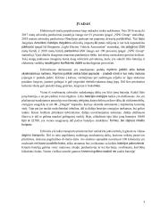 E-dviratis: Nuo idėjos iki projekto įgyvendinimo 2 puslapis