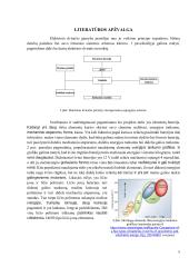 E-dviratis: Nuo idėjos iki projekto įgyvendinimo 4 puslapis