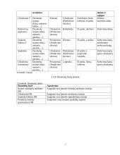 UAB "Daisena" įmonės analizė 9 puslapis