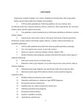 UAB "Daisena" įmonės analizė 17 puslapis