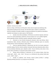 UAB "Daisena" įmonės analizė 2 puslapis