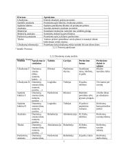 UAB "Daisena" įmonės analizė 6 puslapis