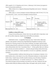 Baltarusija ir jos ekonomika 13 puslapis