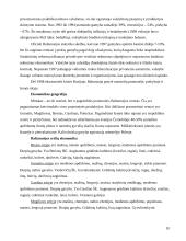 Baltarusija ir jos ekonomika 10 puslapis