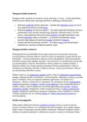 Teorija apie širdį 3 puslapis