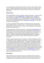 Teorija apie širdį 4 puslapis