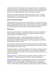 Teorija apie širdį 5 puslapis