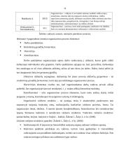 UAB ,,PIGU" vadybinių funkcijų veikla 11 puslapis