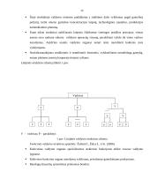 UAB ,,PIGU" vadybinių funkcijų veikla 12 puslapis