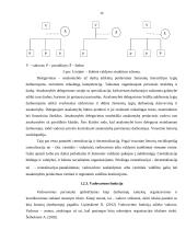 UAB ,,PIGU" vadybinių funkcijų veikla 14 puslapis