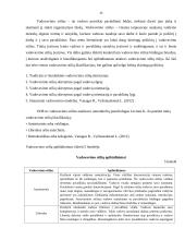 UAB ,,PIGU" vadybinių funkcijų veikla 15 puslapis