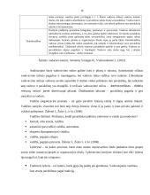 UAB ,,PIGU" vadybinių funkcijų veikla 16 puslapis