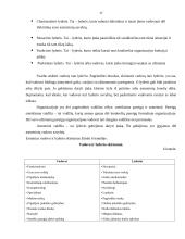 UAB ,,PIGU" vadybinių funkcijų veikla 17 puslapis