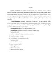 UAB ,,PIGU" vadybinių funkcijų veikla 5 puslapis