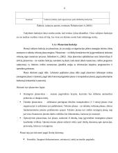 UAB ,,PIGU" vadybinių funkcijų veikla 8 puslapis