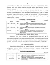 UAB ,,PIGU" vadybinių funkcijų veikla 10 puslapis