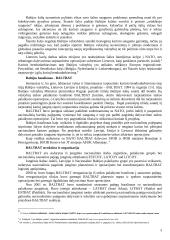 Baltijos batalionas - BALTBAT 3 puslapis