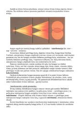 Banginė optika 5 puslapis