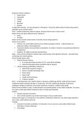 Teorinė medžiaga apie kvėpavimą