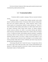 Bankai ir bankų apžvalga 12 puslapis