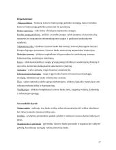 Bankai ir bankų apžvalga 17 puslapis