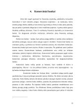 Bankai ir bankų apžvalga 19 puslapis