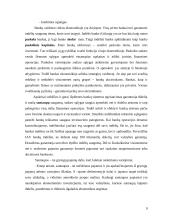 Bankai ir bankų apžvalga 9 puslapis