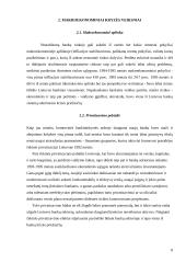 Bankinės krizės 8 puslapis