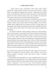 Bankinės krizės 9 puslapis